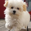 joc_elyn joc_elyn